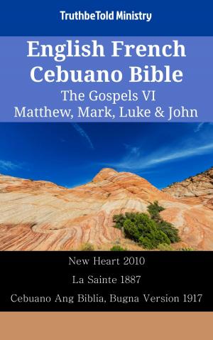 bigCover of the book English French Cebuano Bible - The Gospels VI - Matthew, Mark, Luke & John by 