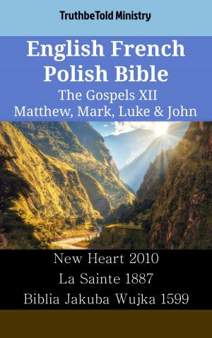 bigCover of the book English French Polish Bible - The Gospels XII - Matthew, Mark, Luke & John by 