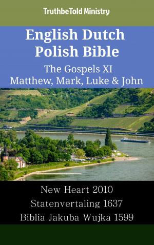 bigCover of the book English Dutch Polish Bible - The Gospels XI - Matthew, Mark, Luke & John by 
