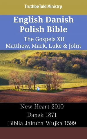 bigCover of the book English Danish Polish Bible - The Gospels XII - Matthew, Mark, Luke & John by 