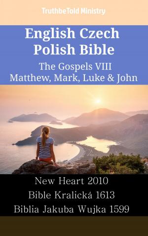 bigCover of the book English Czech Polish Bible - The Gospels VIII - Matthew, Mark, Luke & John by 