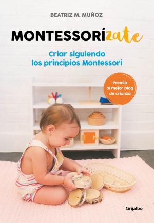 Cover of the book Montessorízate by 肯．羅賓森Ken Robinson, 盧．亞若尼卡Lou Aronica