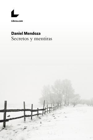 Cover of the book Secretos y mentiras by S. J. 華森, S. J. Watson