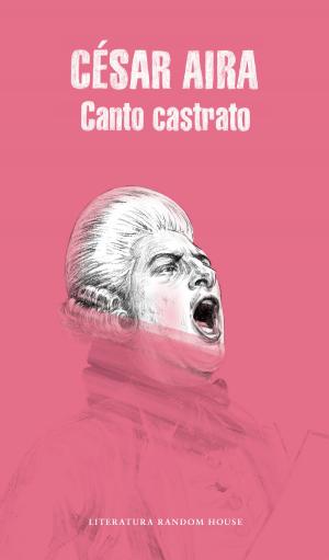 Cover of the book Canto castrato by Joaquín Almunia