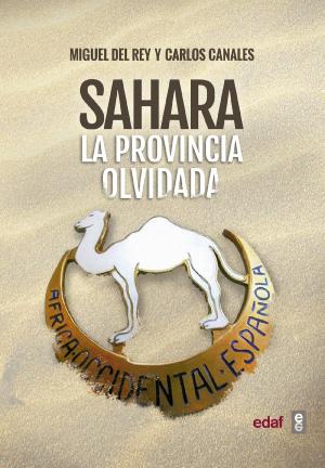 Cover of the book Sahara by Carlos Canales, Miguel del Rey