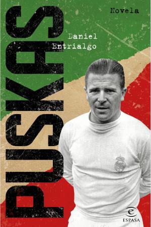 Cover of the book Puskas by Luis Landero