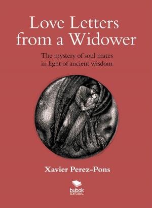 Cover of the book Love letters from a widower by Nelson Iván Grefa
