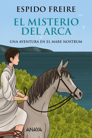 Cover of the book El misterio del arca by David Blanco Laserna