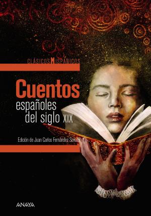 Cover of the book Cuentos españoles del siglo XIX by Andreu Martín, Jaume Ribera