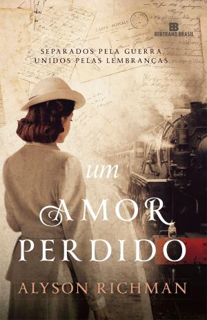Cover of the book Um amor perdido by Lucy Vargas