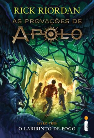Cover of the book O labirinto de fogo by Rick Riordan
