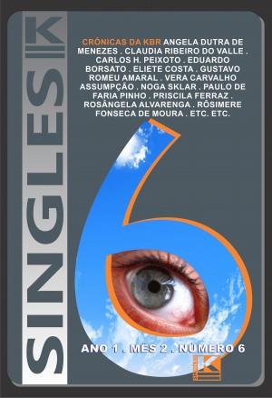 Cover of the book Singles 6 by Noga Sklar