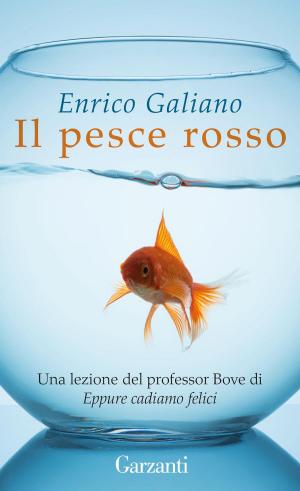 Book cover of Pesce rosso