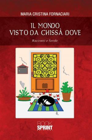 Cover of the book Il mondo visto da chissà dove by Orlindo Riccioni