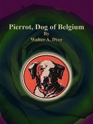 Cover of the book Pierrot, Dog of Belgium by E. F. Benson