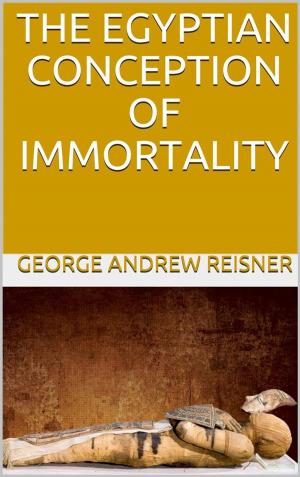 Book cover of The Egyptian Conception of Immortality