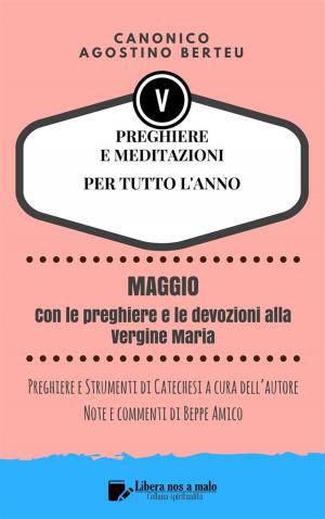 Cover of PREGHIERE E MEDITAZIONI PER TUTTO L’ANNO - Con orazioni e Strumenti di Catechesi a cura dell’autore