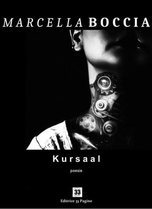 Book cover of Kursaal