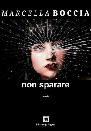 Book cover of Non sparare