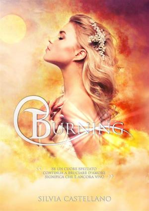 Cover of the book Burning (Amethyst #2) by E.J. Deen