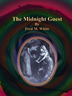 Book cover of The Midnight Guest