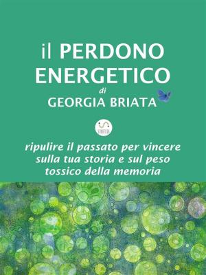 Book cover of Il Perdono Energetico