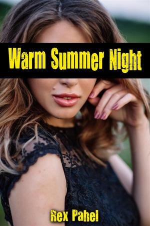 Cover of the book Warm Summer Night by Kudret Alkan