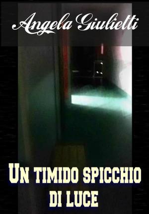 Cover of the book Un timido spicchio di luce by Stewart Parks