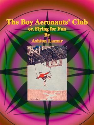 Book cover of The Boy Aeronauts' Club or, Flying for Fun