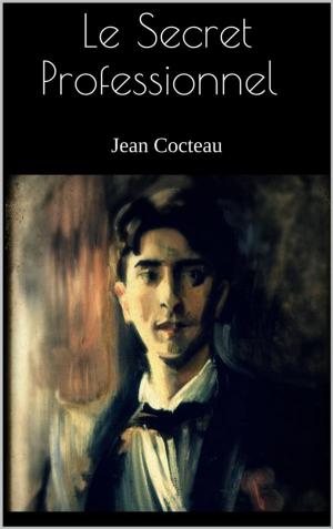 Cover of the book Le Secret Professionnel by Jane Webb Loudon