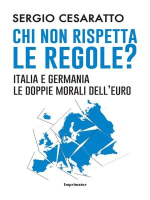 Cover of the book Chi non rispetta le regole? by PAOLO BROGI