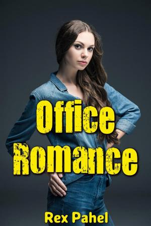 bigCover of the book Office Romance by 