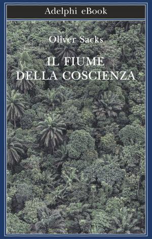 Cover of the book Il fiume della coscienza by Roberto Bolaño
