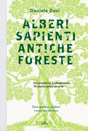Book cover of Alberi sapienti, antiche foreste