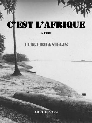 Cover of the book C'est l'Afrique by Leslie Kappes