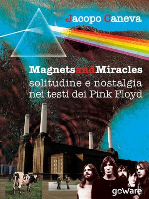 Book cover of Magnets and miracles. Solitudine e nostalgia nei testi dei Pink Floyd