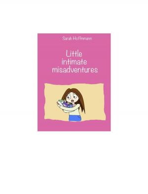 Book cover of Little intimate misadventures”