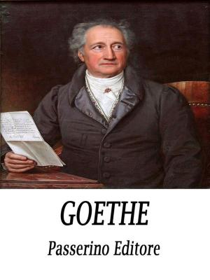 Cover of the book Goethe by Emilio Salgari