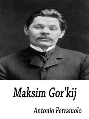 Book cover of Maksim Gor'kij