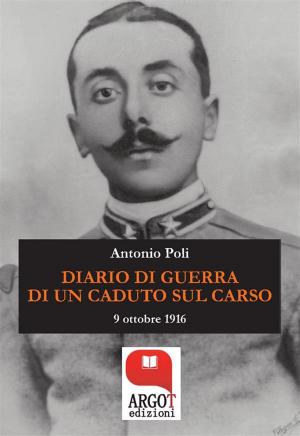 Cover of the book Diario di guerra di un caduto sul Carso by Beppe Calabretta
