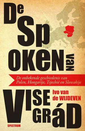 Cover of the book De spoken van Visegrád by Dolf de Vries