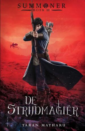 Cover of the book De strijdmagiër by Santa Montefiore, Simon Sebag Montefiore
