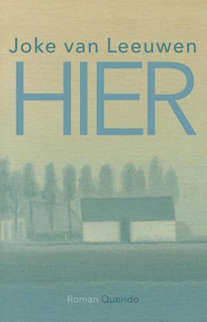 Cover of the book Hier by Pieter Waterdrinker