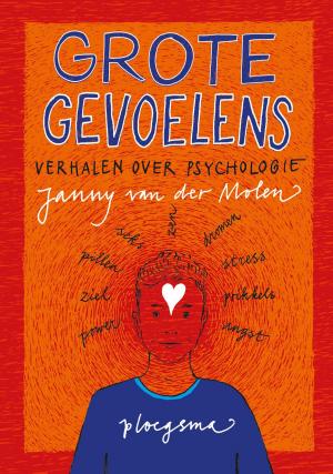 Cover of the book Grote gevoelens by Johan Fabricius