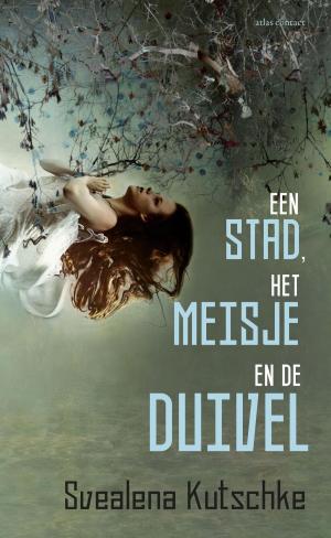 Cover of the book Een stad, het meisje en de duivel by Wil Schackmann