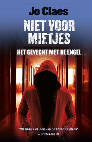 Cover of the book Het gevecht met de engel by Conny Regard
