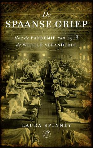 Cover of the book De Spaanse griep by J. Bernlef