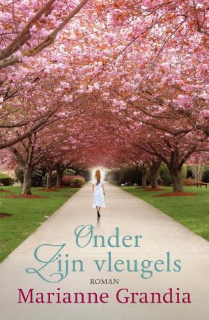 Cover of the book Onder zijn vleugels by Kristy Cambron