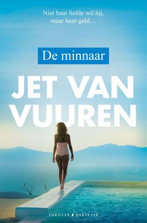 Cover of the book De minnaar by David Macfie