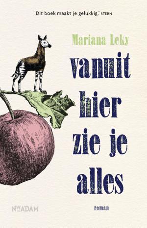 Cover of the book Vanuit hier zie je alles by Petra Stienen